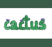 CACTUS
