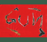 GUN
