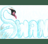 SWAN
